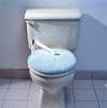Toilet Lock