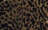 BuggyBagg: Jaguar